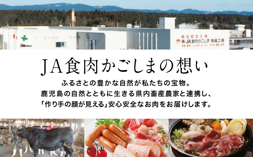 鹿児島県産豚肉のなめらかなポークウインナー2.5kg（500g×5P