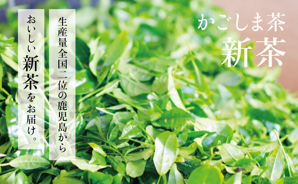 【新茶】日本茶AWARD受賞の高級深蒸し茶「さえみどり」3本セット＜2024年新茶：5月中旬頃から出荷開始＞ 鹿児島県産 かごしま お茶 日本茶 緑茶 茶葉 南さつま市 小牧緑峰園