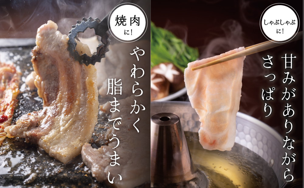 【ブランド黒豚】かごしま黒豚 2種 計600g  ローススライス＆バラ焼肉用 お肉 国産 豚肉 鹿児島県産 冷凍 南さつま市