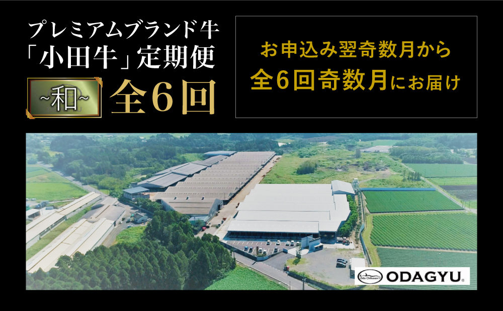 【全6回】プレミアムブランド和牛「小田牛」定期便 （～和～） 鹿児島県産 黒毛和牛 ステーキ すき焼き 焼肉 ハンバーグ カレー 総菜 おかず レトルト 冷凍 小田畜産 南さつま市