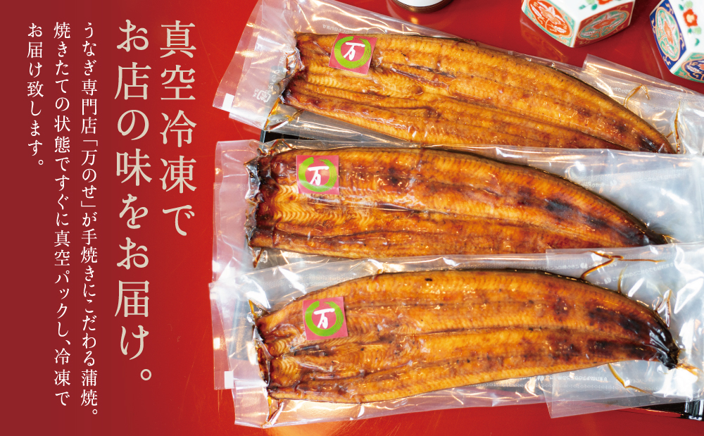 【鹿児島県産 鰻】うなぎ専門店「万のせ」 うなぎ蒲焼 3尾（手焼き）160g前後 ジューシー スタミナ ウナギ 鰻 蒲焼き 鹿児島県産 ギフト 鰻重 うな重 たれ ひつまぶし 土用丑の日 山椒 冷凍 簡単調理 贈り物 南さつま市