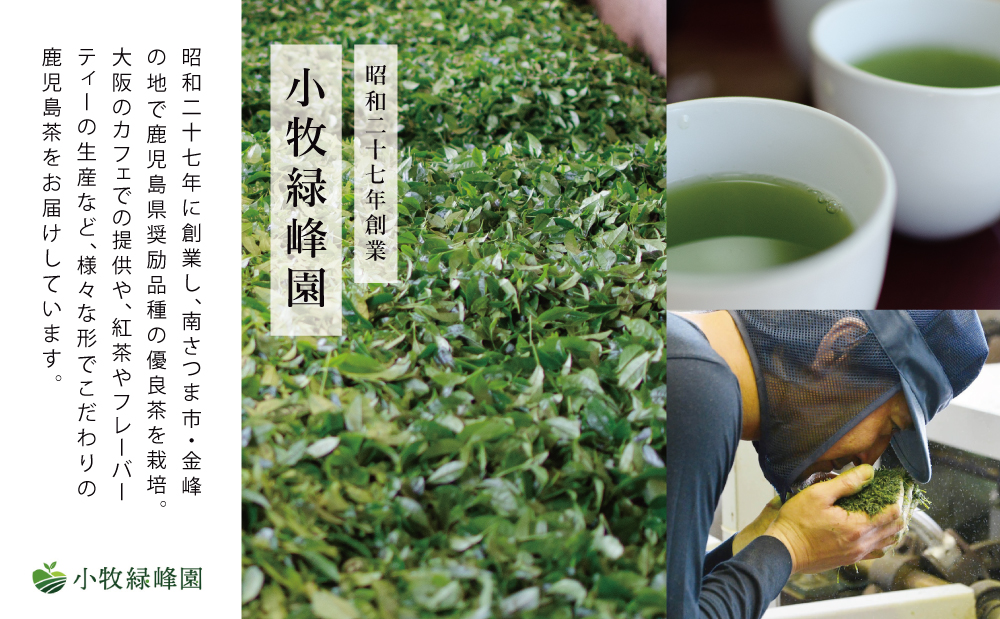 【小牧緑峰園】3種の鹿児島茶セット［緑茶・玄米茶・紅茶］ 計60個(各10個×6袋) ティーバッグタイプ 鹿児島県産 かごしま お茶 日本茶 緑茶 紅茶 小分け 便利 飲み比べ 南さつま市