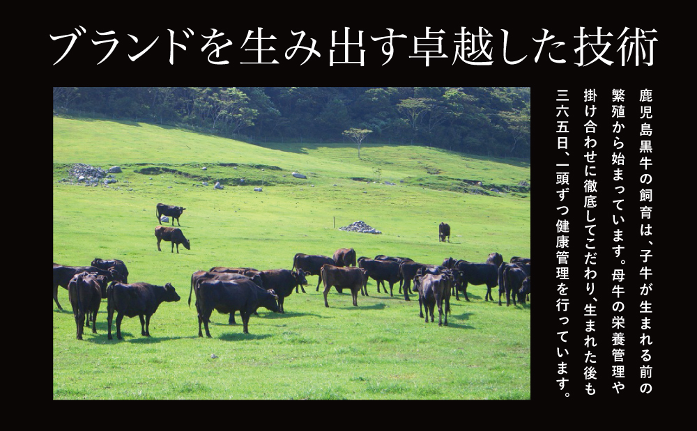 【鹿児島県産】5等級鹿児島黒牛ウデスライス900g