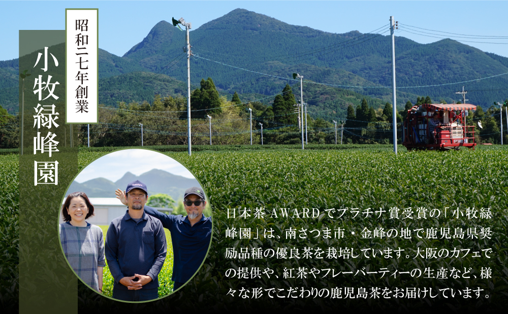 【日本茶AWARD受賞】鹿児島緑茶と紅茶のセット（計250g）