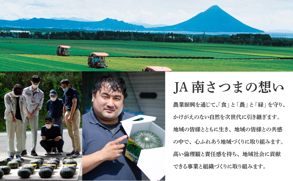 【2024年12月下旬発送】鹿児島県産生さつまいも 「紅はるか」約5kg さつまいも 焼き芋 さつま芋 甘藷 サツマイモ べにはるか スイーツ JA 南さつま市