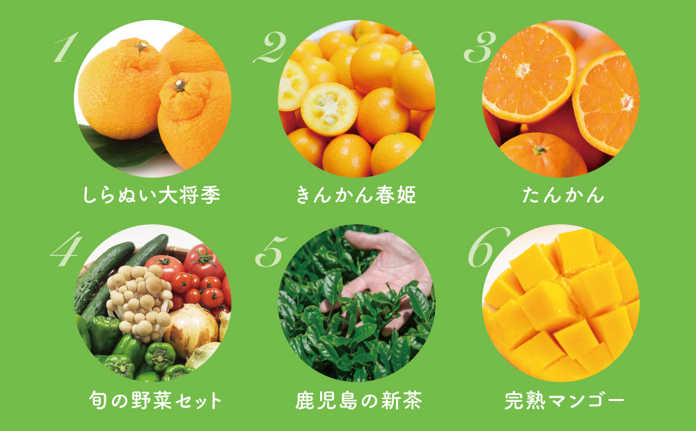 【定期便】南国の恵み 旬のフルーツ・野菜定期便（全12回）