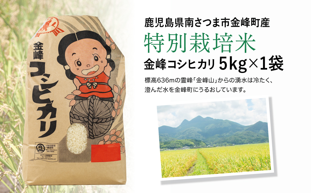 【令和5年産】特別栽培米 金峰コシヒカリ石蔵米5kg×1袋