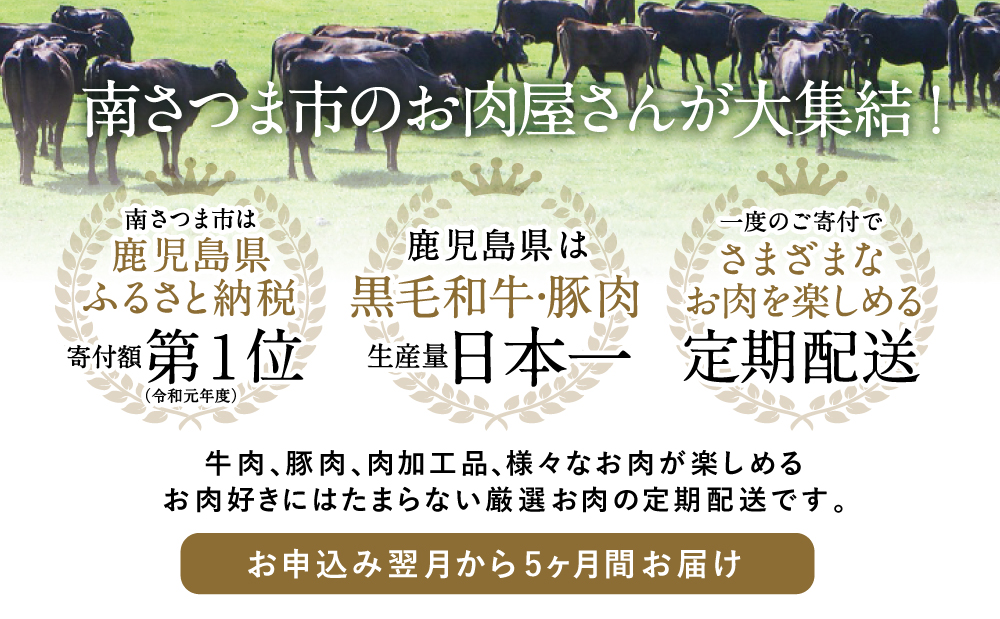 【お試し版】オールスター厳選お肉定期便（全5回） 牛肉 豚肉 すき焼き しゃぶしゃぶ 赤身 焼肉 冷凍 定期便 鹿児島 南さつま市