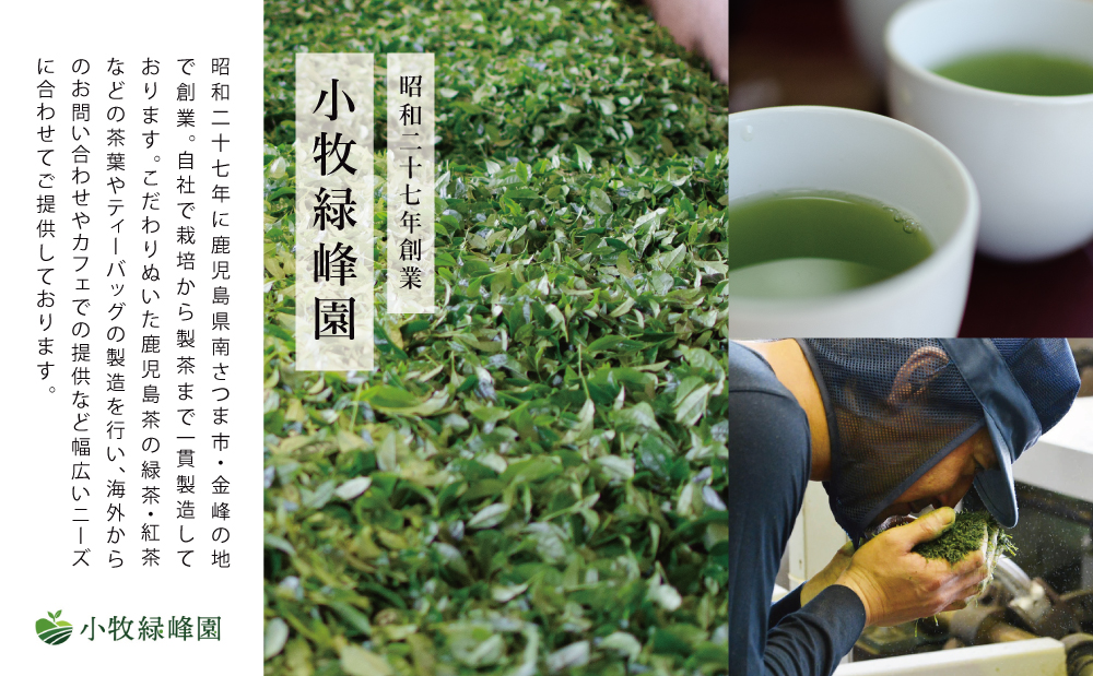 【日本茶AWARD受賞】高級深蒸し茶「さえみどり」 3本セット (100g×3袋)