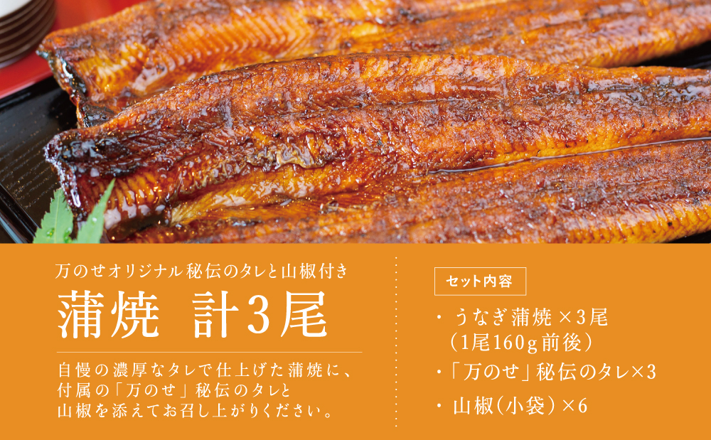 【鹿児島県産 鰻】うなぎ専門店「万のせ」 うなぎ蒲焼 3尾（手焼き）160g前後 ジューシー スタミナ ウナギ 鰻 蒲焼き 鹿児島県産 ギフト 鰻重 うな重 たれ ひつまぶし 土用丑の日 山椒 冷凍 簡単調理 贈り物 南さつま市