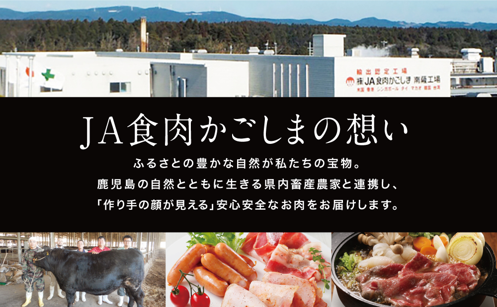 【JA食肉かごしま】鹿児島黒牛お試し定期便（全3回） 和牛日本一の「鹿児島黒牛」お肉 ステーキ すき焼き しゃぶしゃぶ 黒毛和牛 牛肉 定期便 南さつま市