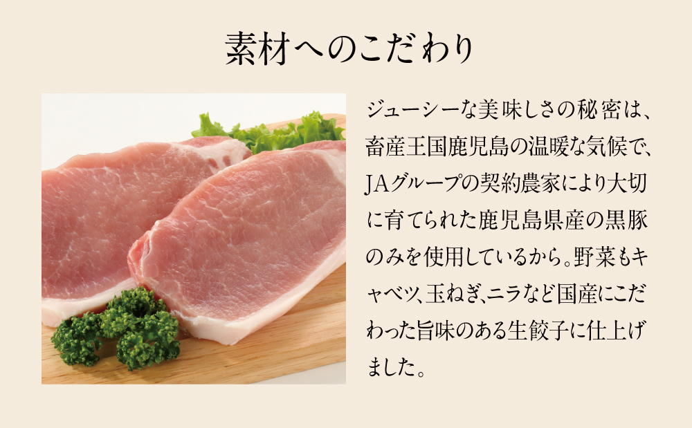 【JA食肉かごしま】黒豚と国産野菜のジューシー生餃子144個 たれ付き！（12個×12P）