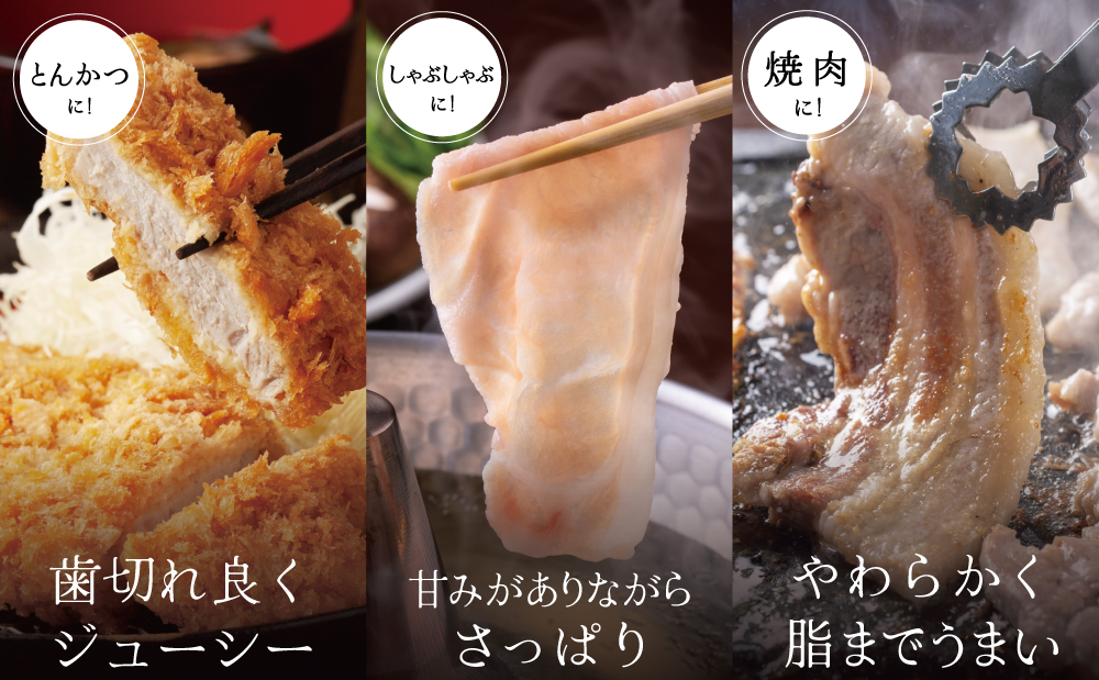 【ブランド黒豚】かごしま黒豚 3種類 計1kg バラエティセット