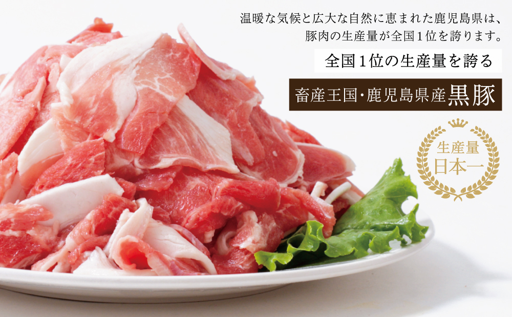 【鹿児島県産】黒豚 切り落とし 計3.6kg（600g×6袋） 肉 国産 豚肉 小分け 切落し 料理 炒め物 カレー お弁当 おかず 冷凍 お肉 スターゼン 南さつま市