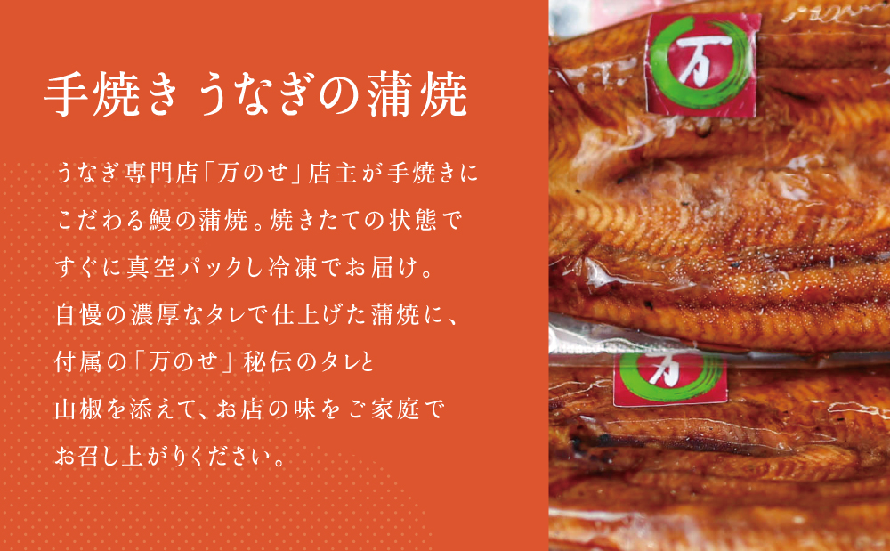 【鹿児島県産 鰻】うなぎ専門店「万のせ」 うなぎ蒲焼2尾（手焼き）とおむすび6個セット 詰め合わせ ギフト 贈答品 国産 鹿児島うなぎ 手焼き 鰻 蒲焼き ウナギ うなぎ蒸しおむすび 土用の丑 丑の日