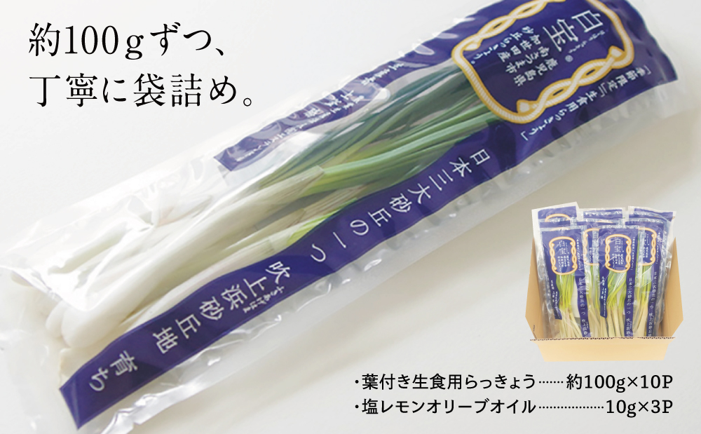 【3〜5月に発送】旬野菜！鹿児島県産 生食用 吹上砂丘らっきょう 約1kg（約100g×10袋）ラッキョウ 野菜 鹿児島県産 生食用 旬 エスランドル 南さつま市