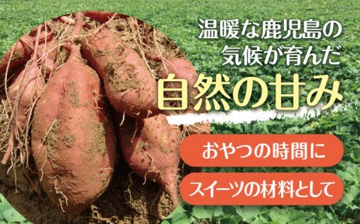 【鹿児島県産】安納芋 冷凍やきいも 3kg（500ｇ×6）