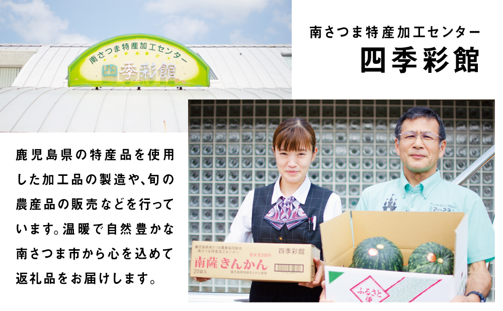 ◆5月中旬頃から出荷開始◆【かごしまブランド】加世田のかぼちゃ 4個 野菜 カボチャ 常温 鹿児島県産 南さつま市