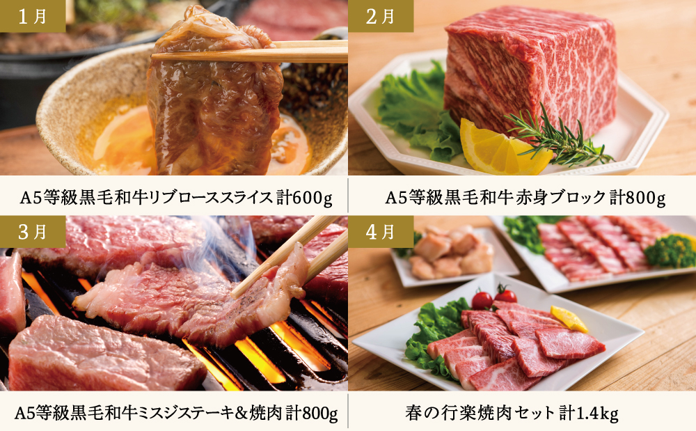 【定期便 全12回】情熱牧場 鹿児島県産お肉の定期便 プレミアムコース 定期配送 お肉 ステーキ すき焼き しゃぶしゃぶ A5等級 ブランド 黒毛和牛 牛肉 豚肉 焼肉 定期便 冷凍 カミチク 南さつま市