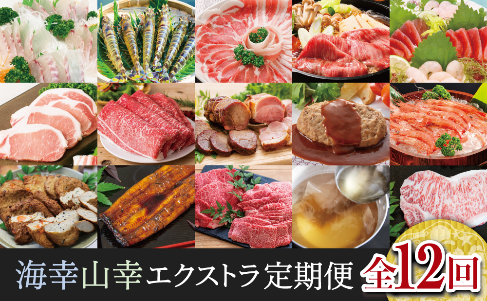 【定期便】海幸山幸 エクストラ厳選 定期便（全12回） お肉 お魚 豚肉 牛肉 黒豚 鹿児島黒牛 すき焼き サーロイン ステーキ しゃぶしゃぶ 角煮 鰻 蒲焼 刺身用 たかえび 薩摩甘えび 海老 マグロ さつま揚げ 焼豚 ハム レトルト ハンバーグ 出汁 鰹節