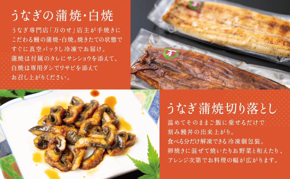 【鹿児島県産】うなぎの「万のせ」鰻満喫セット（4種） 詰め合わせ ギフト 贈答品 国産 鹿児島うなぎ 手焼き 鰻 蒲焼き ウナギ うなぎ蒸しおむすび 土用の丑 丑の日