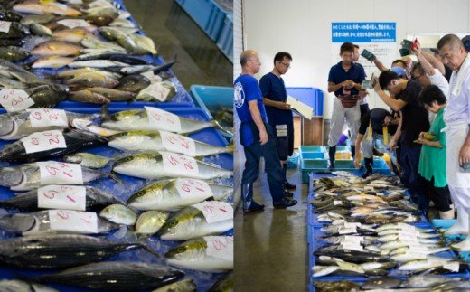 【漁港直送】朝獲れ鮮魚 詰め合わせ 4ｋｇ