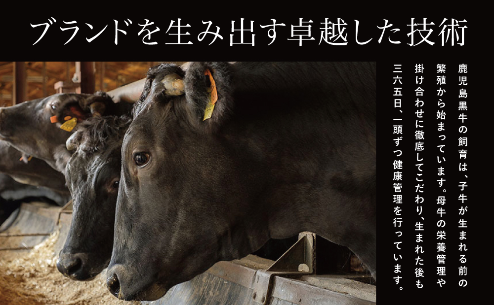 【鹿児島県産】5等級鹿児島黒牛ウデスライス900g