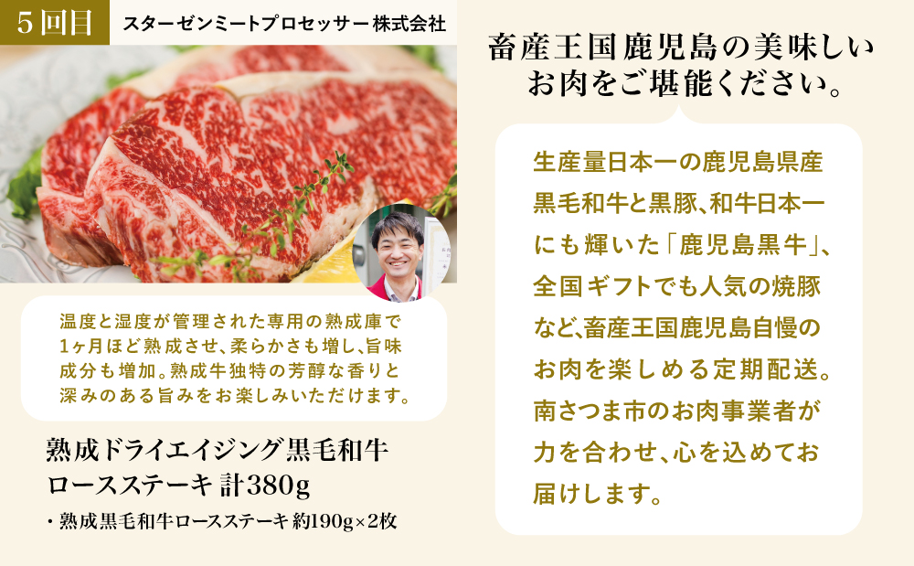 【お試し版】オールスター厳選お肉定期便（全5回） 牛肉 豚肉 すき焼き しゃぶしゃぶ 赤身 焼肉 冷凍 定期便 鹿児島 南さつま市