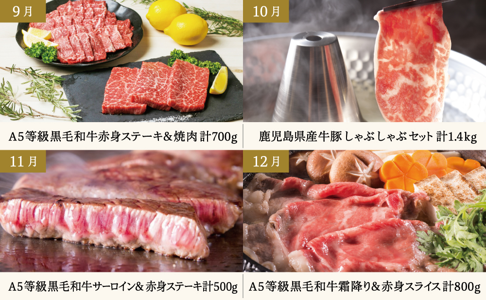 【定期便 全12回】情熱牧場 鹿児島県産お肉の定期便 プレミアムコース 定期配送 お肉 ステーキ すき焼き しゃぶしゃぶ A5等級 ブランド 黒毛和牛 牛肉 豚肉 焼肉 定期便 冷凍 カミチク 南さつま市