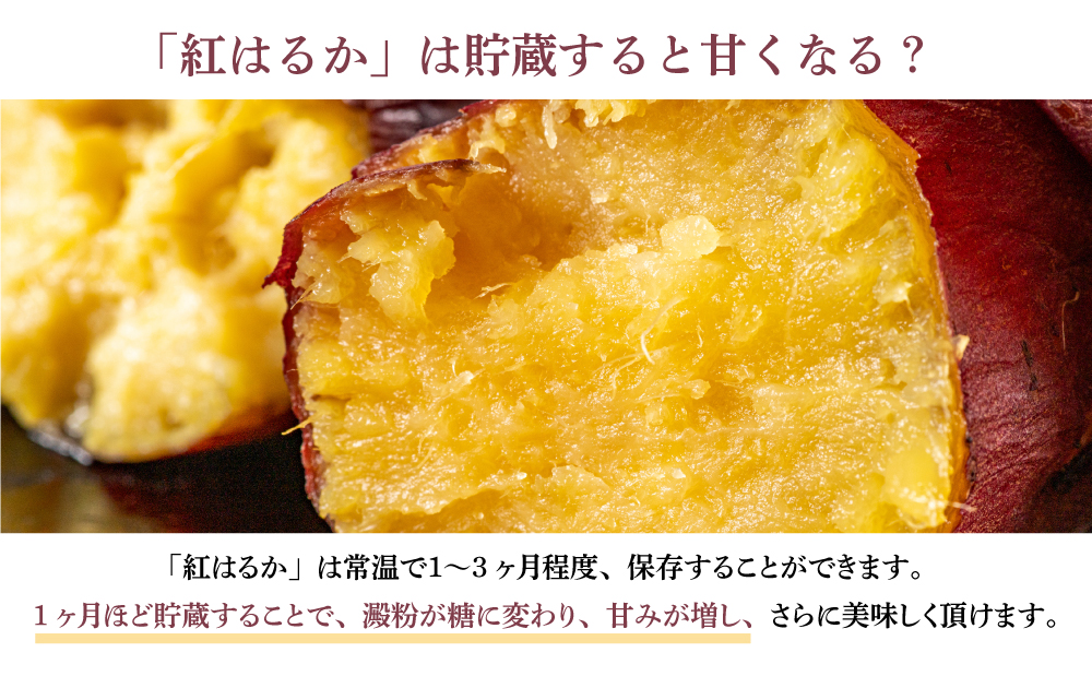 【鹿児島県産】生さつまいも 「紅はるか」約5kg JA南さつま さつまいも 焼き芋 スイーツ