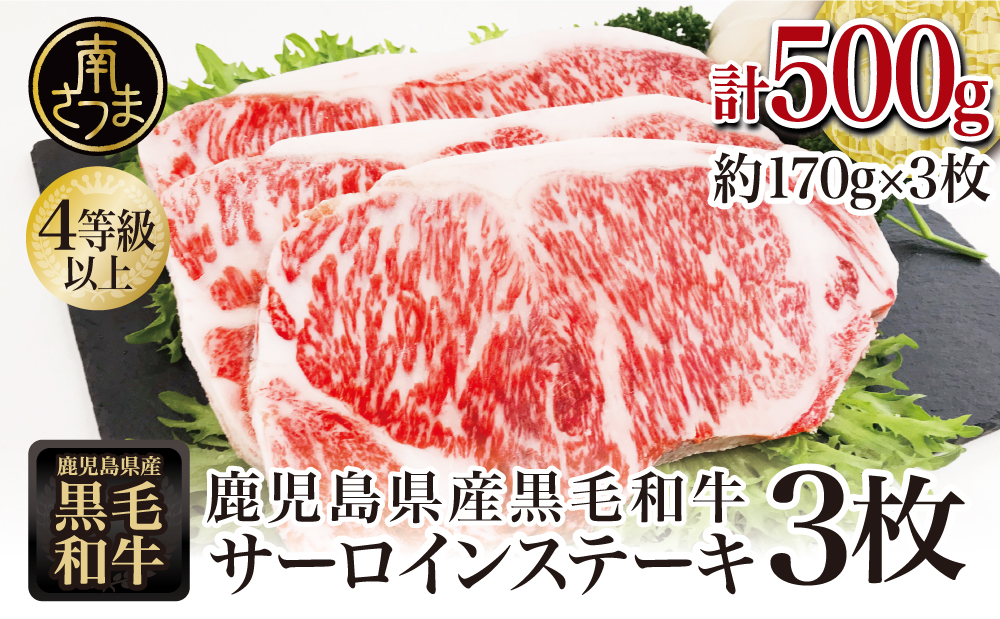 ★2月発送★ 【鹿児島県産】黒毛和牛 サーロインステーキ 約500g A4等級 A5等級 サーロイン ステーキ BBQ 焼肉 肉 牛肉 ギフト 贈答 冷凍 スターゼン 南さつま市