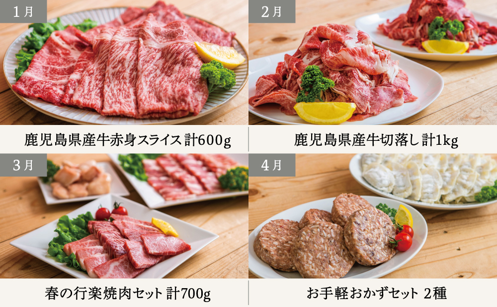 【定期便 全12回】情熱牧場 鹿児島県産お肉の定期便 スタンダードコース お肉 ステーキ すき焼き しゃぶしゃぶ A5等級 黒毛和牛 牛肉 豚肉 焼肉 定期便 冷凍 カミチク 南さつま市