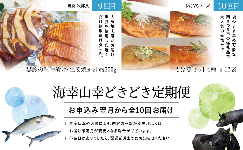 海幸山幸どきどき定期便（全10回）お肉 お魚 黒豚 牛肉 すき焼き ステーキ 角煮 鰻 蒲焼 刺身用たかえび マグロ 出汁 鰹節 鹿児島黒牛 生姜焼き おかず 煮魚 定期配送