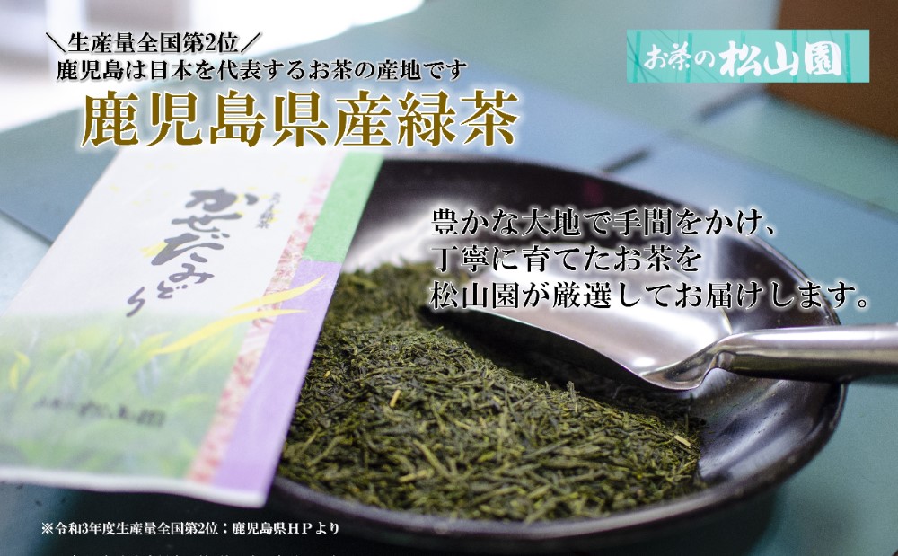 【鹿児島県産緑茶】かせだみどり（80g×3袋） ＜2024年新茶：5月上旬発送開始＞
