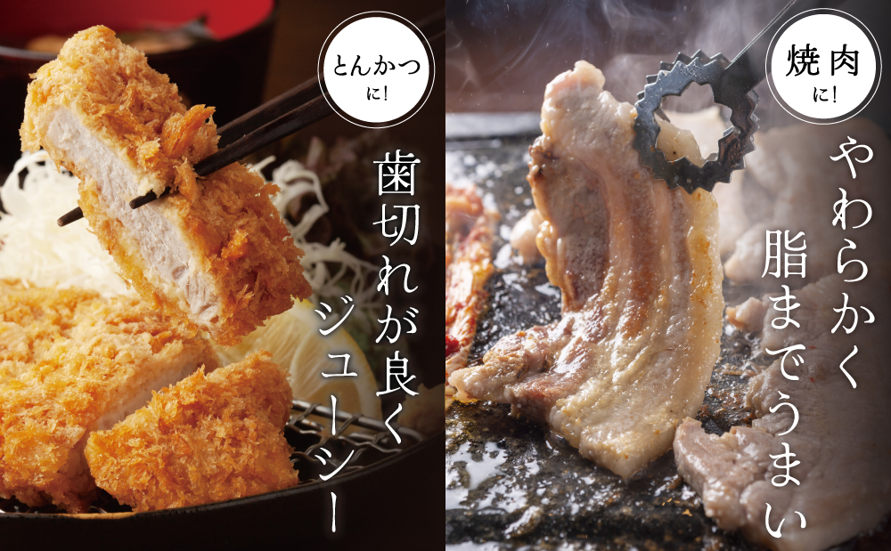 【ブランド黒豚】かごしま黒豚 2種 計600g バラ焼肉用＆ロースとんかつ用 