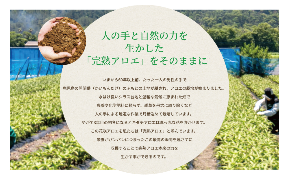 【健康習慣】アロエ健美減秘茶 「ハーブ・サラダ」60包×2袋