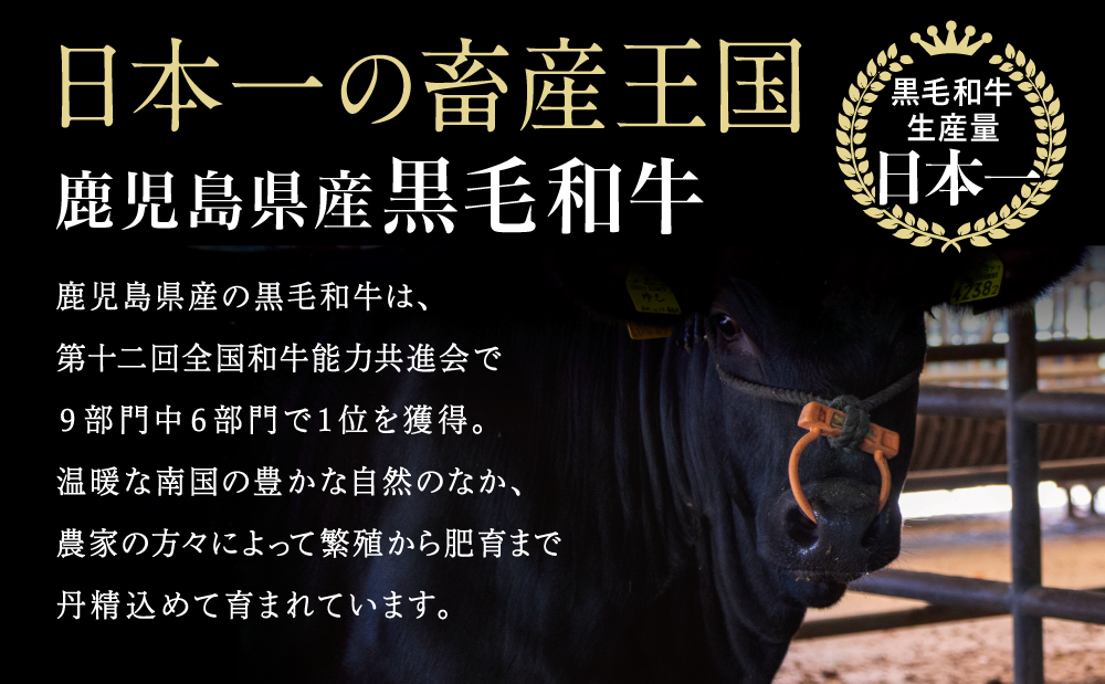 【鹿児島県産】黒毛和牛 赤身ももスライス 800g (400g×2）