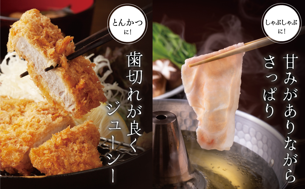 【ブランド黒豚】かごしま黒豚 2種 計600g ローススライス＆ロースとんかつ用