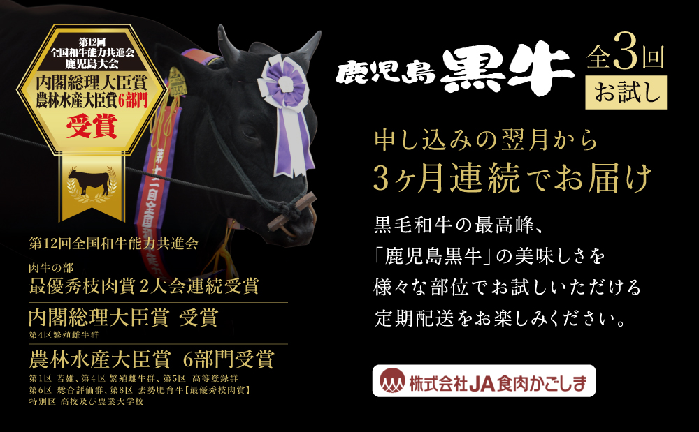 【JA食肉かごしま】鹿児島黒牛お試し定期便（全3回） 和牛日本一の「鹿児島黒牛」お肉 ステーキ すき焼き しゃぶしゃぶ 黒毛和牛 牛肉 定期便 南さつま市