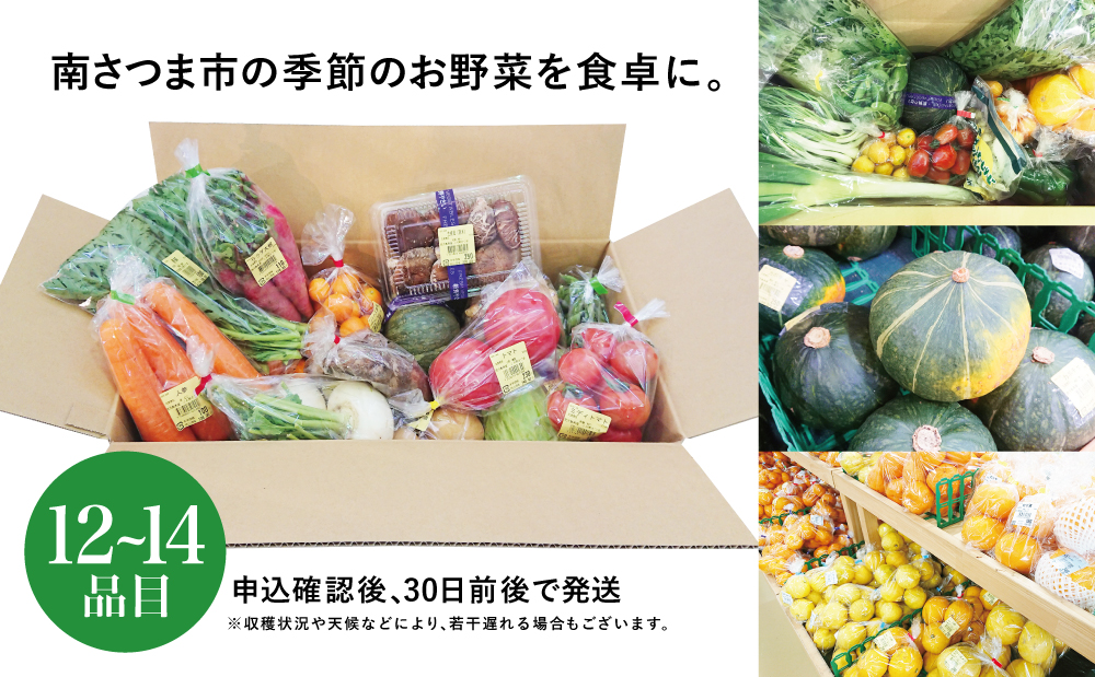 【JA直売所セレクト】旬鮮野菜・果物セット（12～14品目）