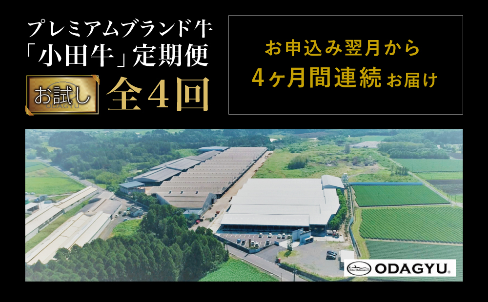 【全4回】プレミアムブランド和牛「小田牛」定期便 （お試し） 鹿児島県産黒毛和牛