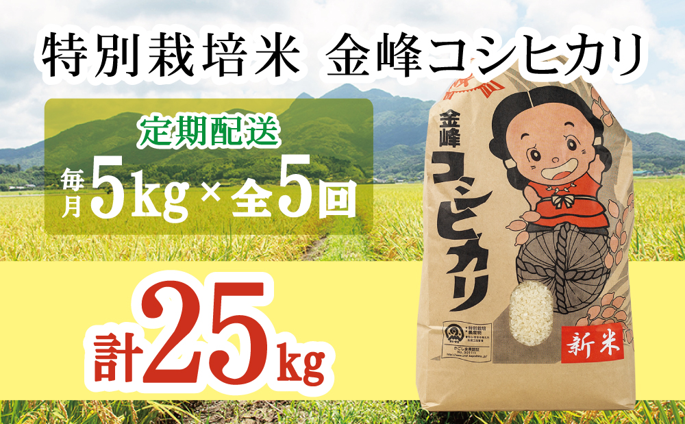 【定期便 全5回】特別栽培米 金峰コシヒカリ 石蔵米 5kg×5ヶ月 お米定期便
