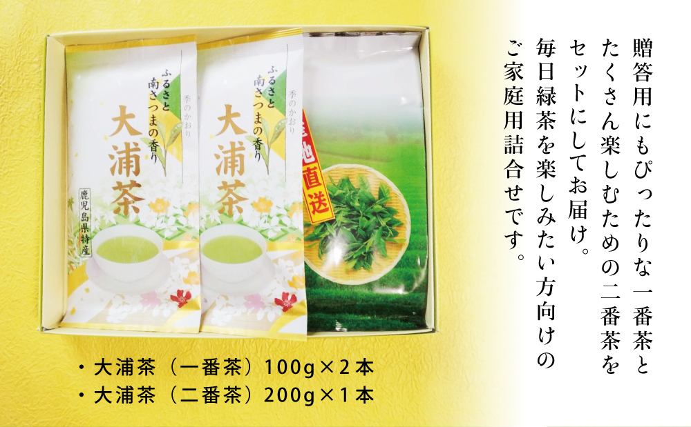 【ご家庭用】鹿児島県産緑茶 大浦茶 3本セット 計400g 鹿児島県産 かごしま お茶 日本茶 緑茶 茶葉 南さつま市 徳留茶農園