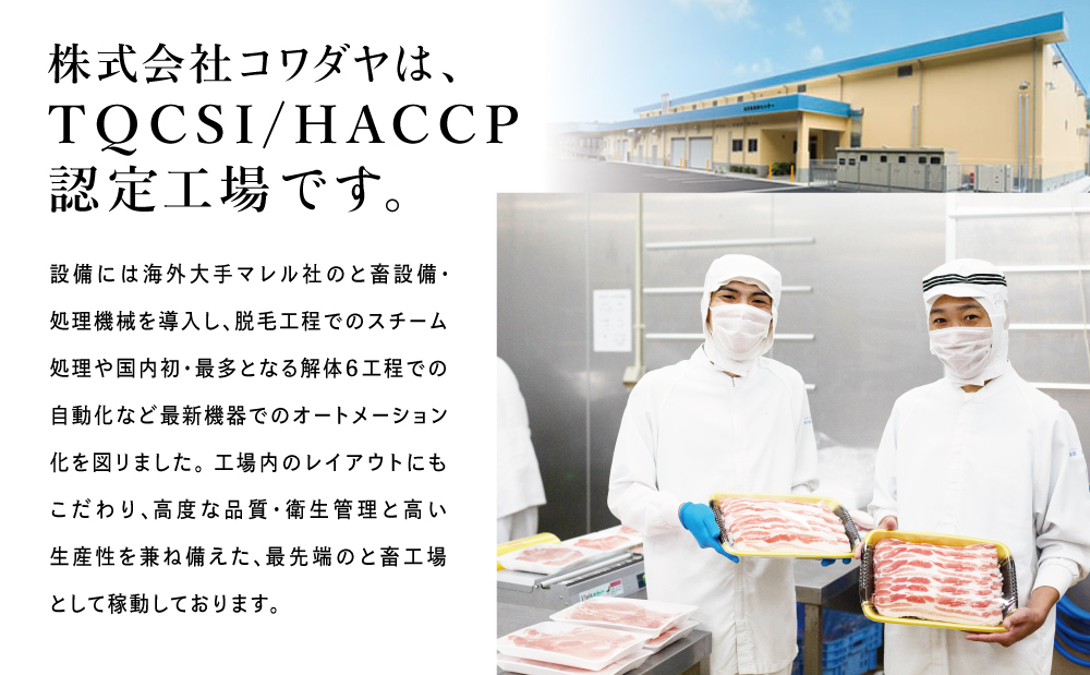 【レンジで簡単】鹿児島県産黒豚ロース 蒲焼き風 8食（100g×8P） 総菜 おかず ストック レンチン 電子レンジ 時短 簡単調理 お弁当 味付き 蒲焼き風 小分け 冷凍 国産 豚肉 黒豚 ロース コワダヤ