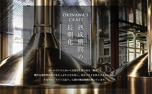 【定期便】【６ヶ月連続】〈オリオンビール社より発送〉ザ・ドラフト（350ml×24本）
