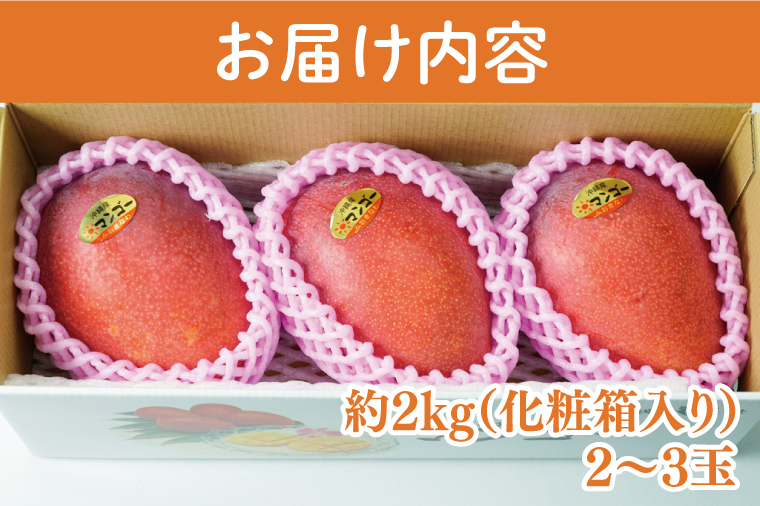 【2025年8月より順次発送】【先行予約】キーツマンゴー 2～3玉(約2kg)(化粧箱)｜沖縄県 豊見城市 マンゴー キーツマンゴー フルーツ 果物 くだもの おきなわマンゴー ギフト 贈り物 化粧箱入り 先行予約(AE015)