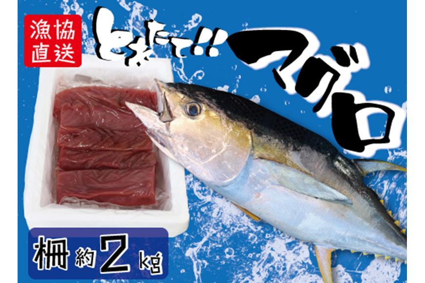 市場 ふるさと納税 北海道産 糠さんま15尾 笹谷商店