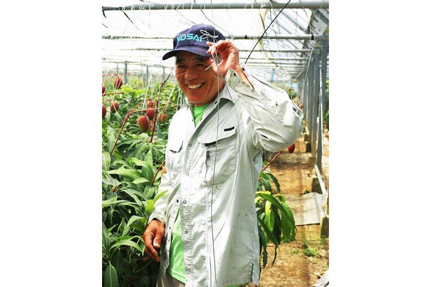 《2023年発送》沖縄・宮古島 減農薬栽培 キーツマンゴー甘濃（かんのう）1玉【琉球マルシェ】
