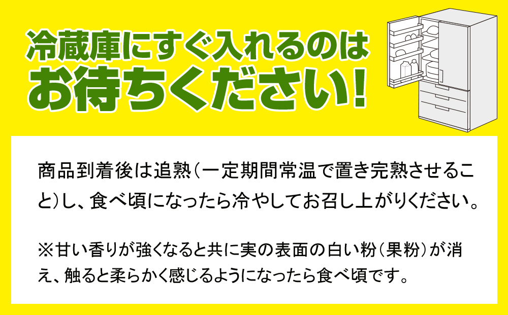 【2025年発送】南国の果物　沖縄県産マンゴー　キーツ　1.5kg