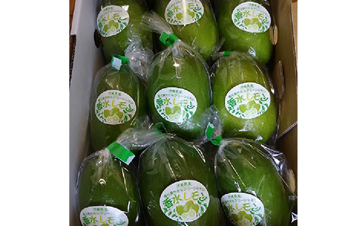 沖縄県産　香り爽やかなグリーンレモン（香水レモン）1.5kg